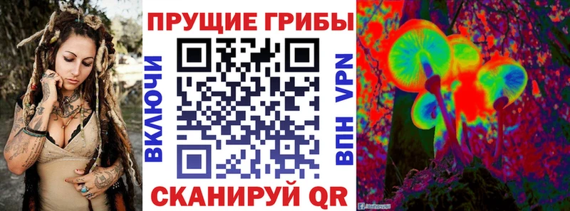 цены   Евпатория  Псилоцибиновые грибы мицелий 
